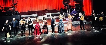 Get to know the Celtic Woman band!